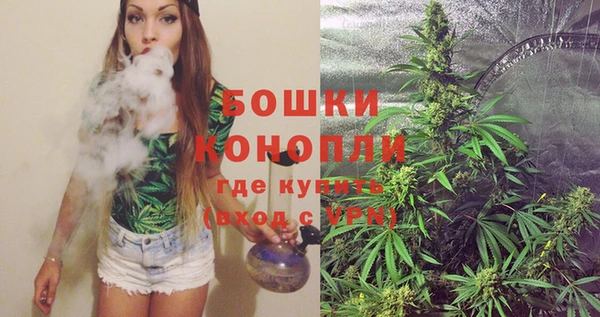 стафф Михайлов