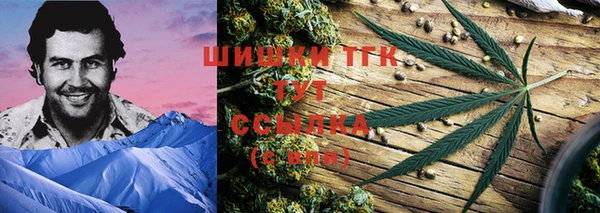 стафф Михайлов