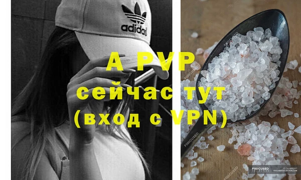 спиды Михайловск