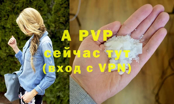 стафф Михайлов