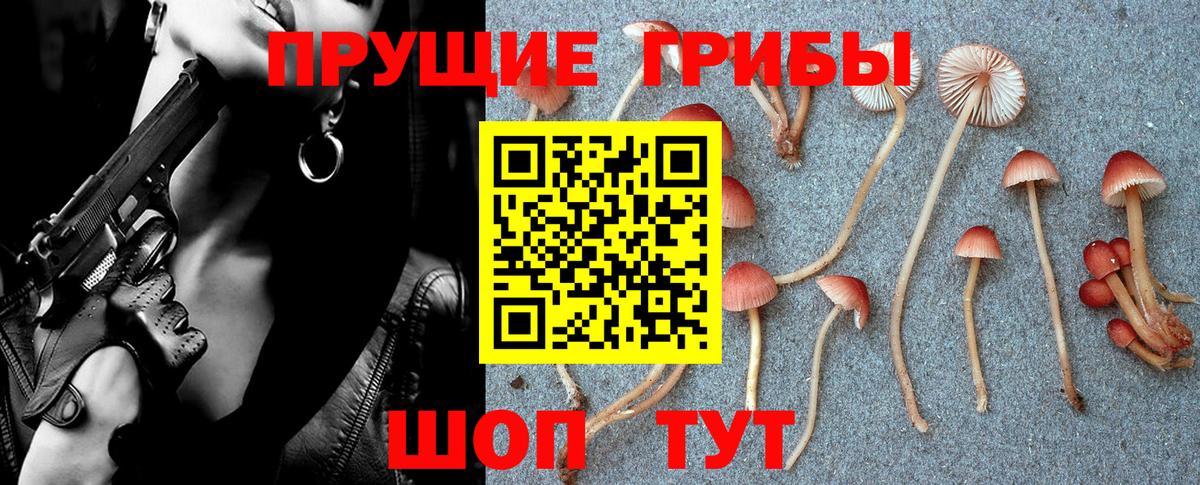 Галлюциногенные грибы мицелий  Вход с VPN  Новодвинск 