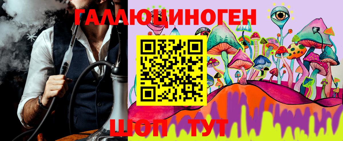 Псилоцибиновые грибы Cubensis Новодвинск