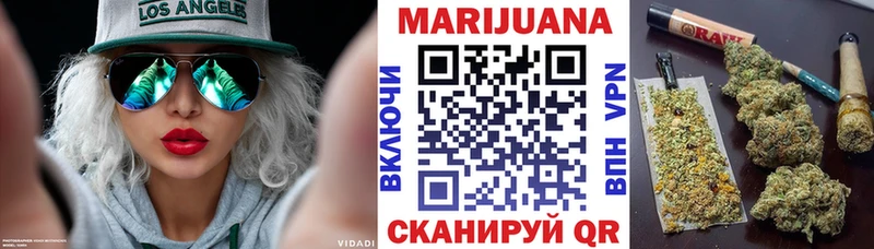Каннабис сатива  где продают наркотики  Новодвинск 